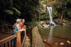 Tamborine Mountain - Hop On Hop Off - From Gold Coast