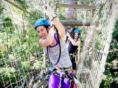 Tree Top Challenge and Winery Tour