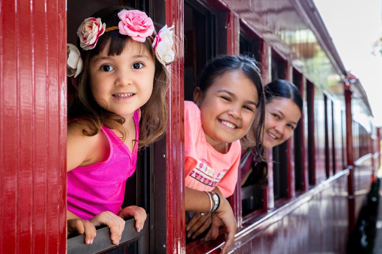 The Holiday Express - Additional Holiday Departures - Steam Train Experience