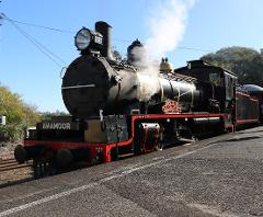 Wizard Express - Departs Saturday 13th September - Gympie to Amamoor (Return)