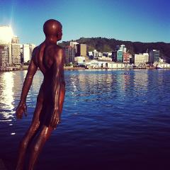 Colours of Wellington - Private City Highlights Tour
