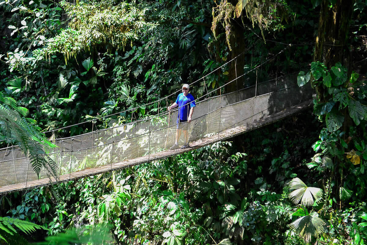Rainmaker Hanging Bridges & Waterfalls | Guided Tour