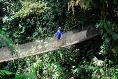 Rainmaker Hanging Bridges & Waterfalls | Guided Tour