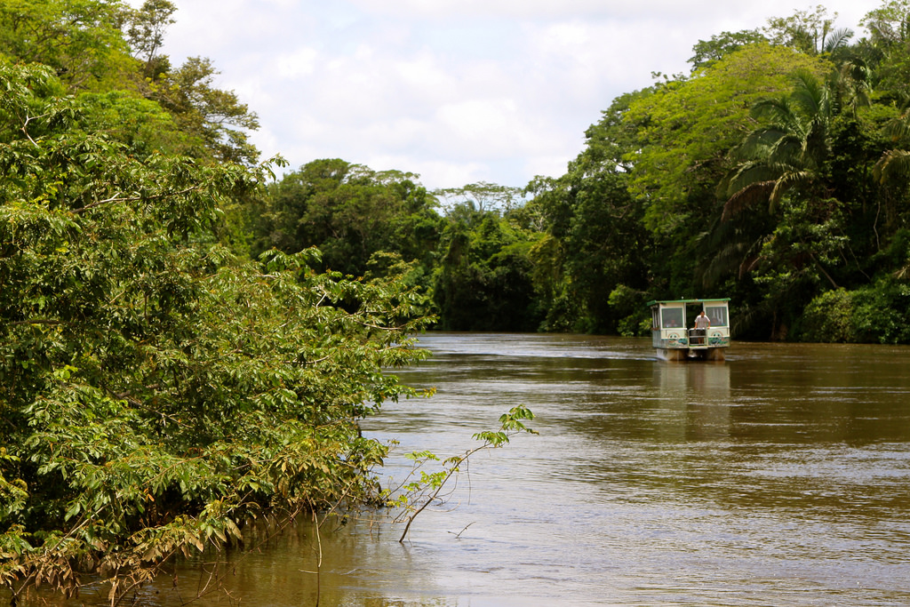 Unique Caño Negro Day Tour