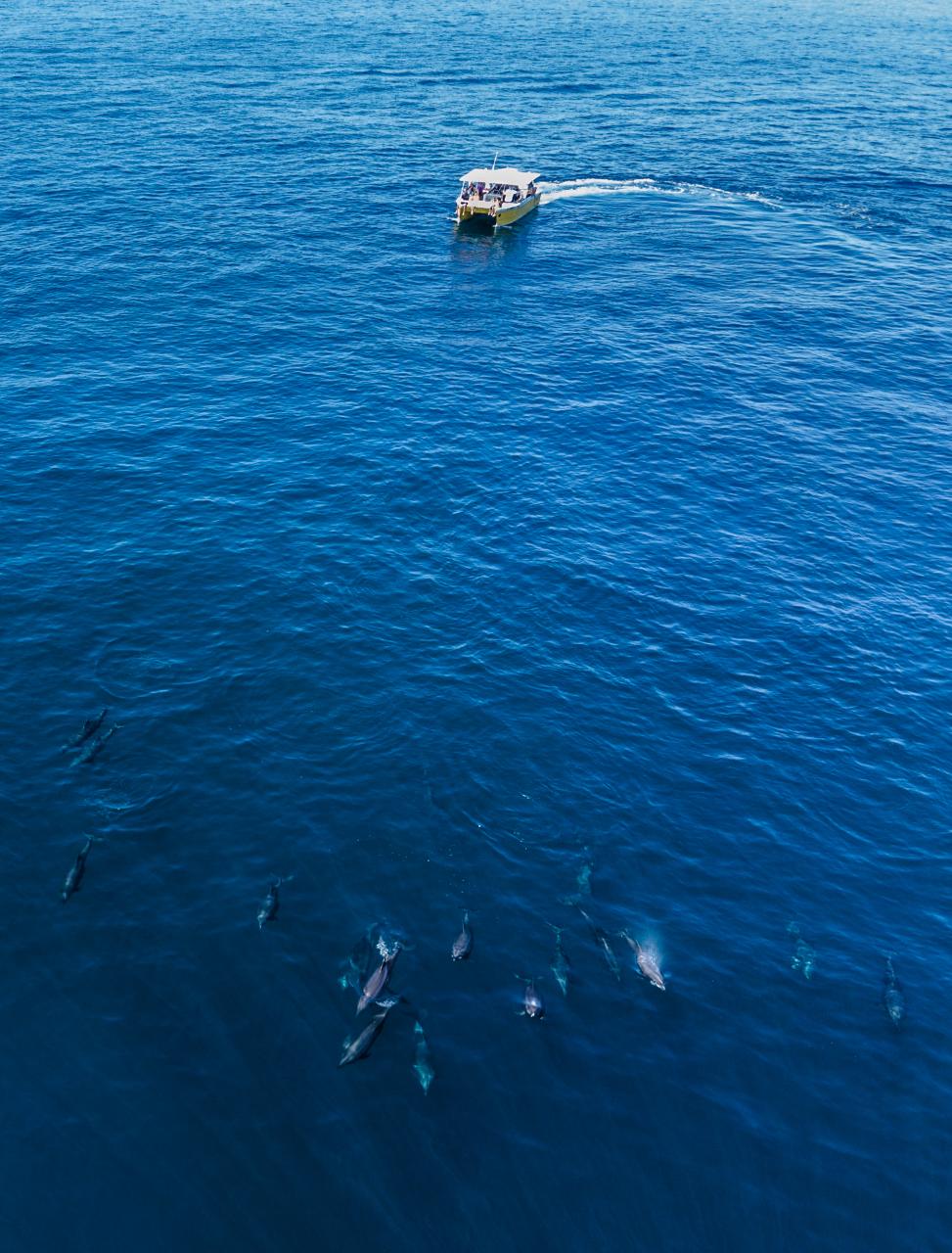 Samara Catamaran Seafari and Snorkel Tour