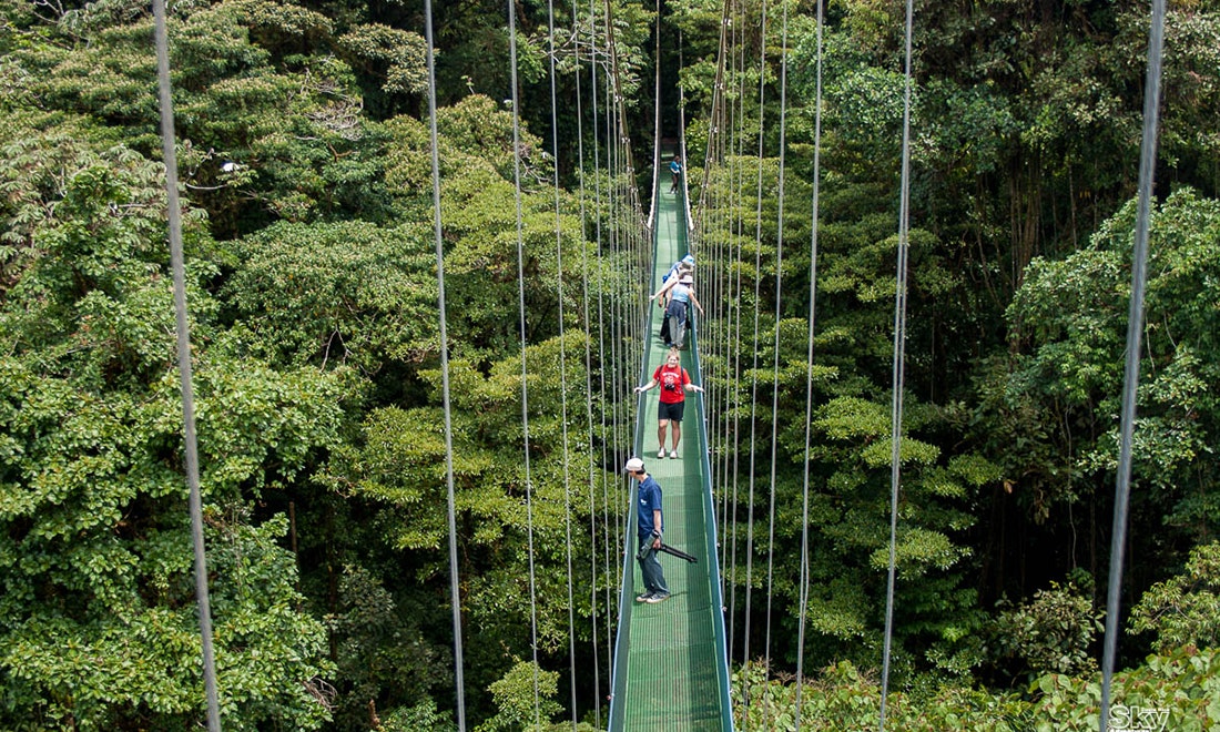 Monteverde Cloud Forest Suspension Bridges | Private Tour