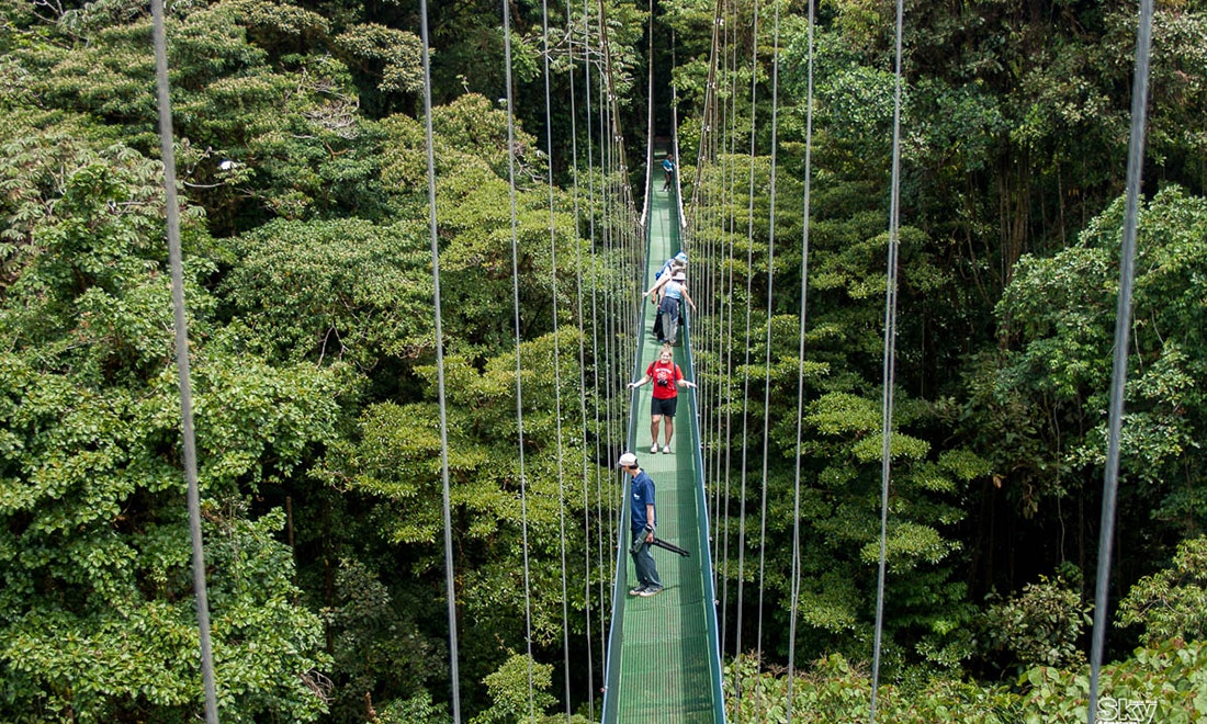 2-in-1 Sky Tram and Sky Walk