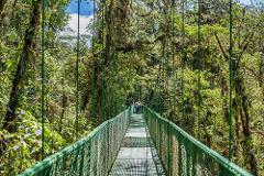 3-in-1 Monteverde Cloud Forest Suspension Bridges, Sloth Sanctuary, and Butterfly Garden