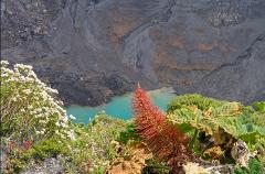 3-in-1 Irazu Volcano National Park, Orosi Valley and Lakester Gardens