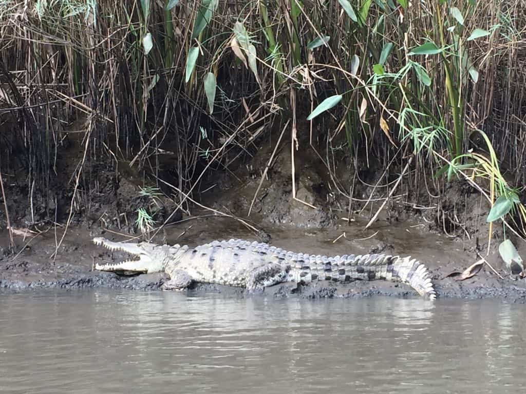 Bebedero River, Waterfalls & Liberia City | Day Tour