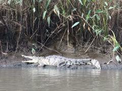 Bebedero River, Waterfalls & Liberia City | Day Tour