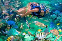 Caño Island Biological Reserve | Day Tour