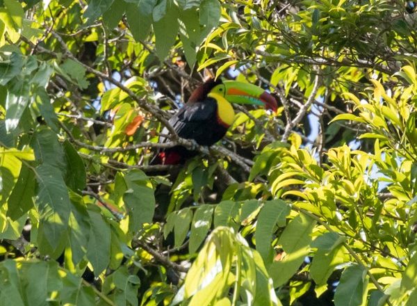 Curi-Cancha Natural History Tour