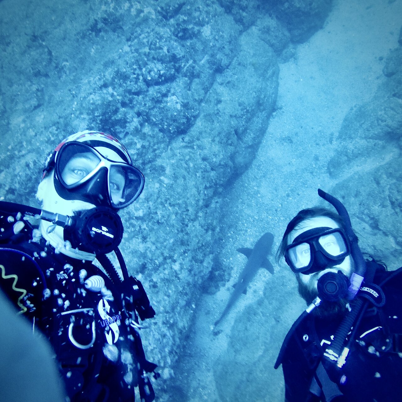 Tamarindo Diving Tour for Certified Diver