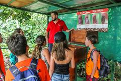 Arenal Coffee and Chocolate Tour