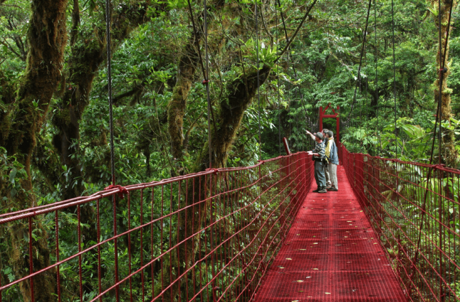 Monteverde Cloud Forest Reserve Guided Walk