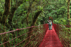 Monteverde Cloud Forest Reserve Guided Walk