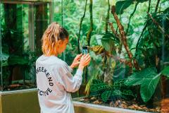 Monteverde Reptile and Amphibian Exhibition