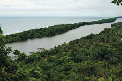 Tortuguero National Park Cerro Hike | Guided Tour 