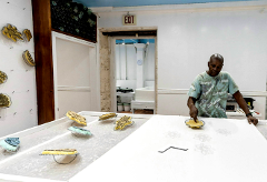 Bahamas Batik- Make your own shirt