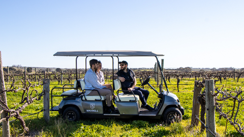 Vineyard Tour 