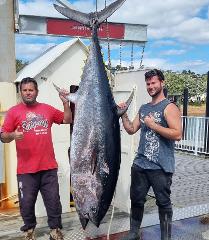 Days Out Fishing Charters - Bluefin Tuna Fishing Private Charter 