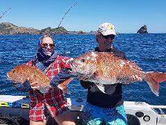 Days Out Fishing Charters - Snapper Private Afternoon 