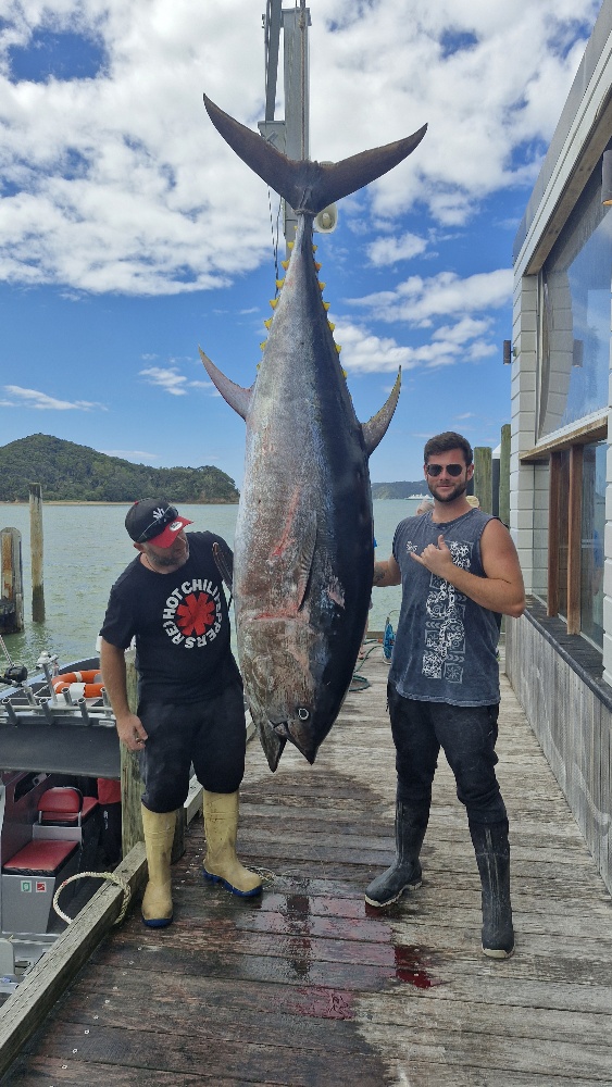 Days Out Fishing Charters - Bluefin Waihau