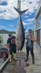 Days Out Fishing Charters - Bluefin Waihau