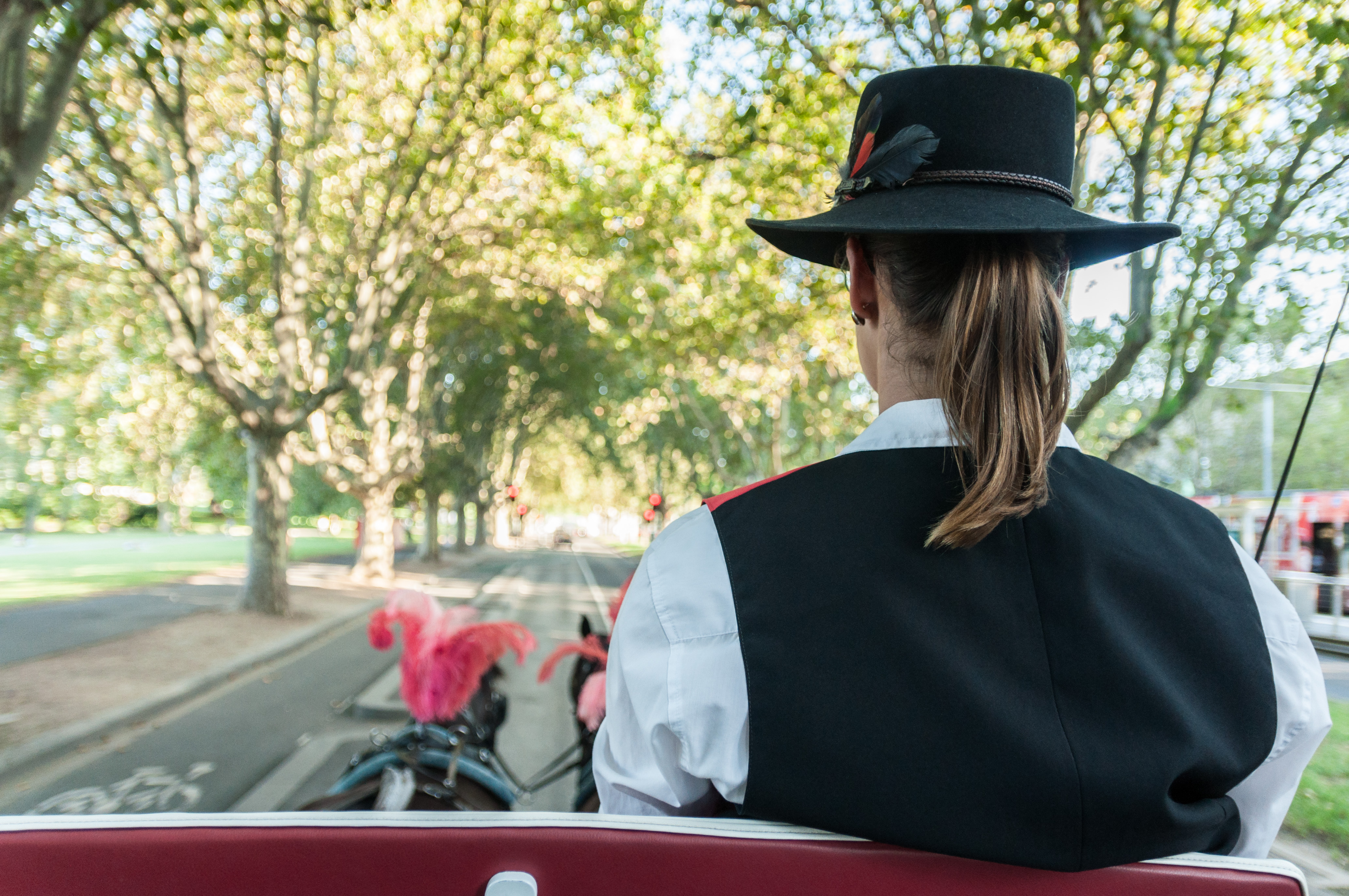 Extended Garden Tour