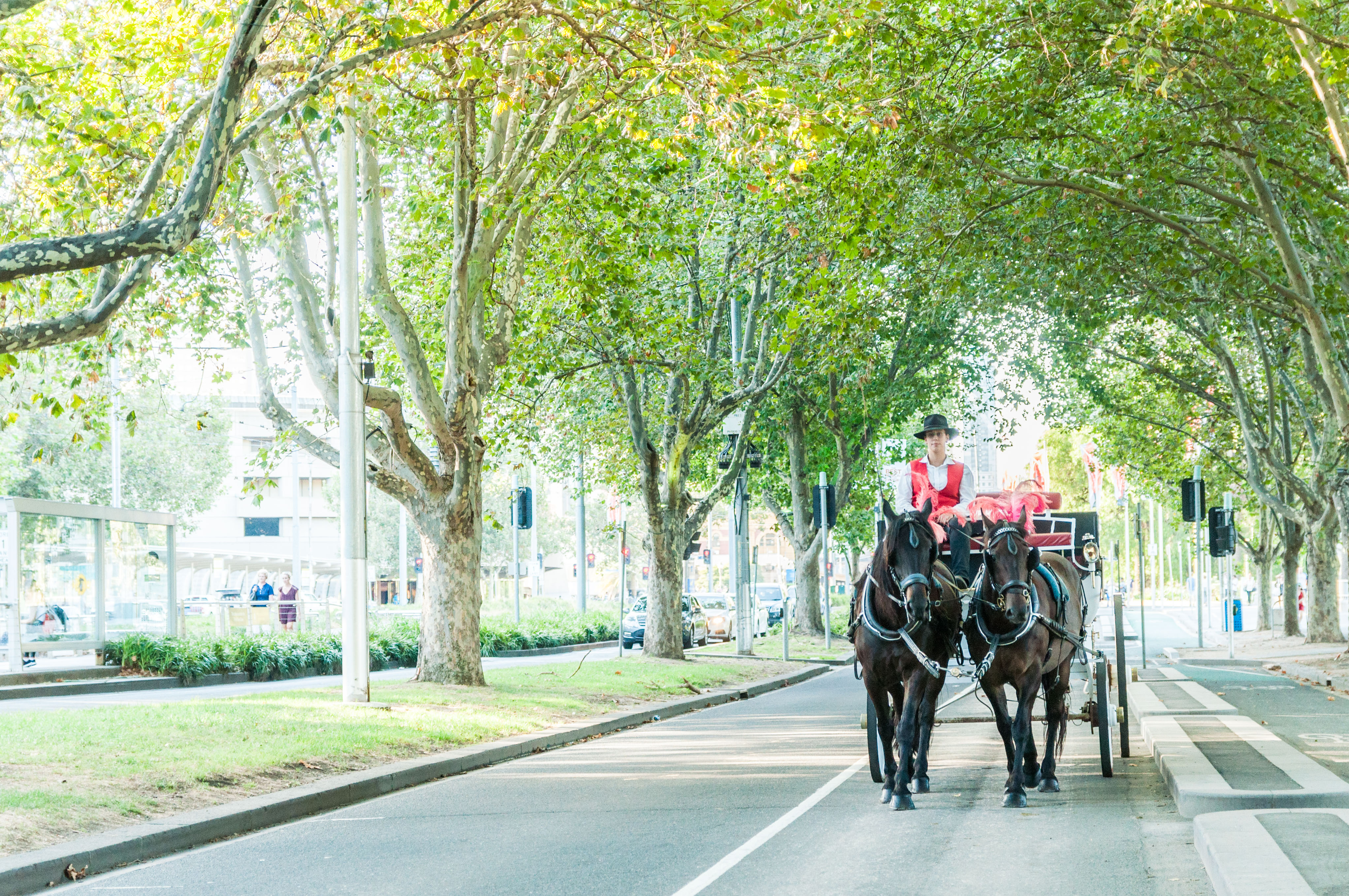Garden Highlights Tour