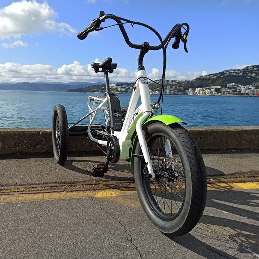Electric Trike Hire - Half Day (Up to Four hours)