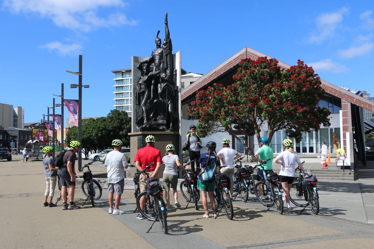 Electric Bays Tour - Guided Electric Bike Tour in Wellington (3-4 hours)