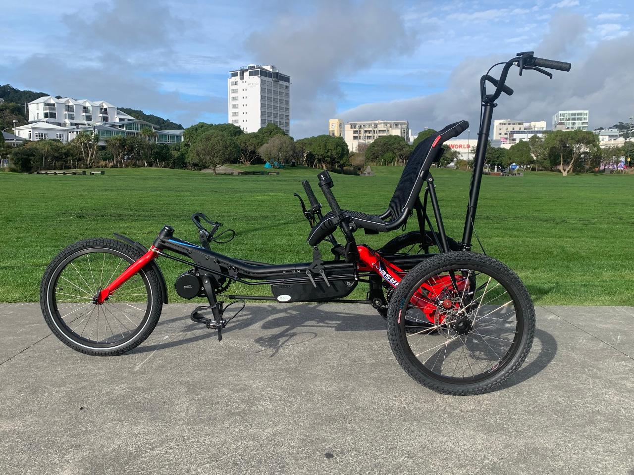 Electric Trike Hire - Half Day (Up to Four hours)