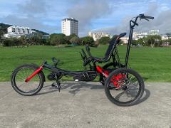 Electric Trike Hire - Half Day (Up to Four hours)