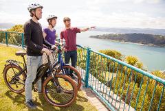 Electric Bays Tour - Guided Electric Bike Tour in Wellington (3-4 hours)