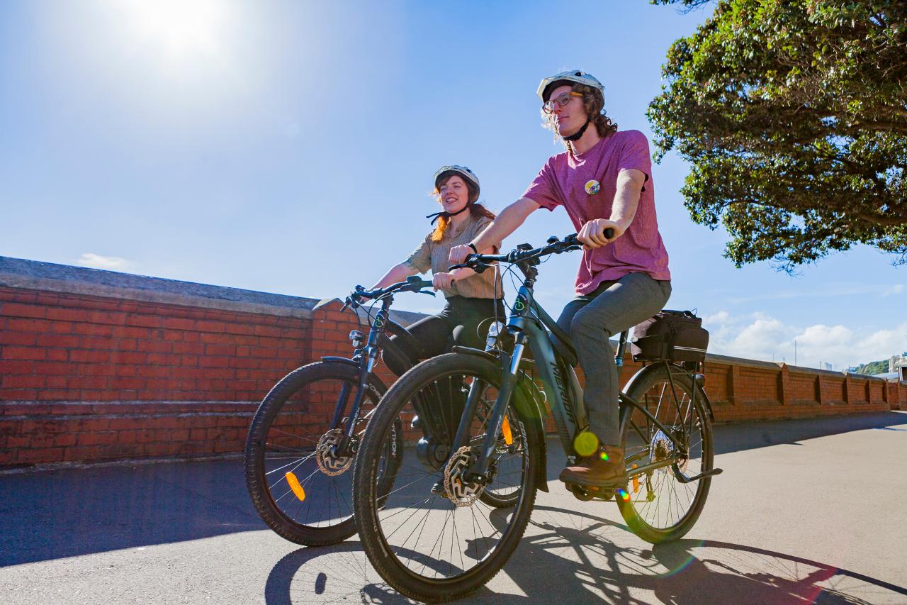 Intro to Wellington - Guided Bike Tour in Wellington (2-2.5 hours)