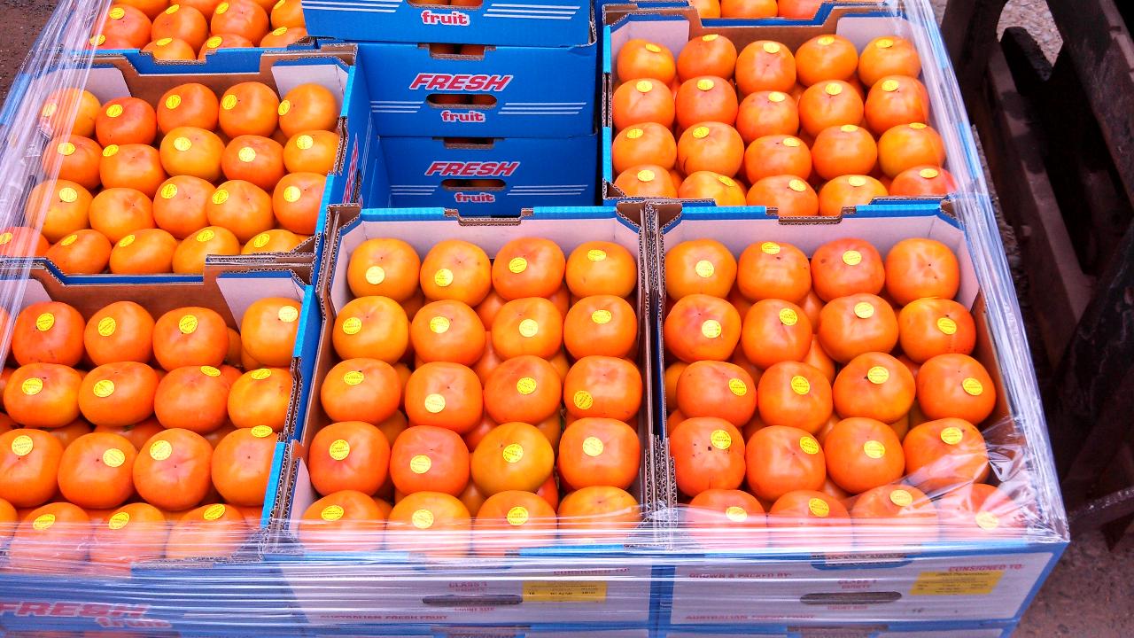 Pluck persimmons fresh from the tree | Daily Telegraph