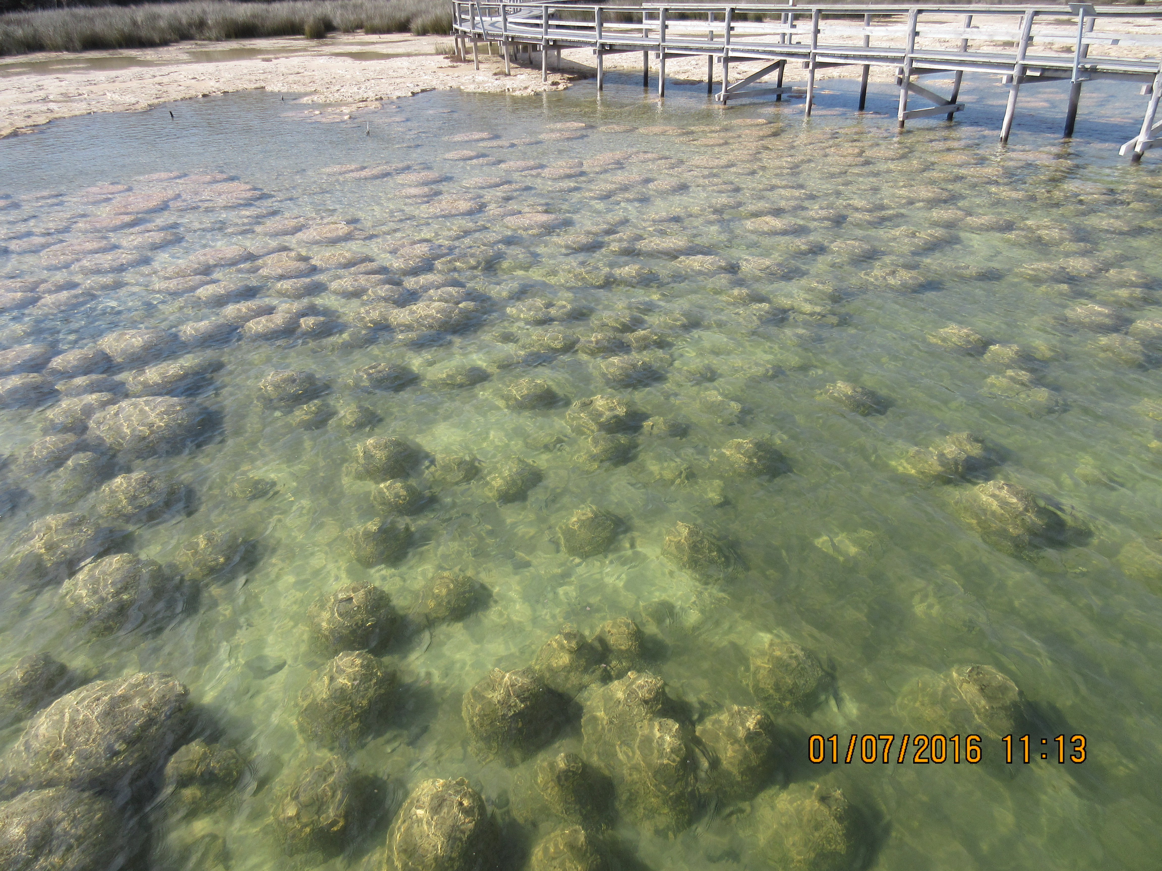 Country Craft, Coast & Cruise