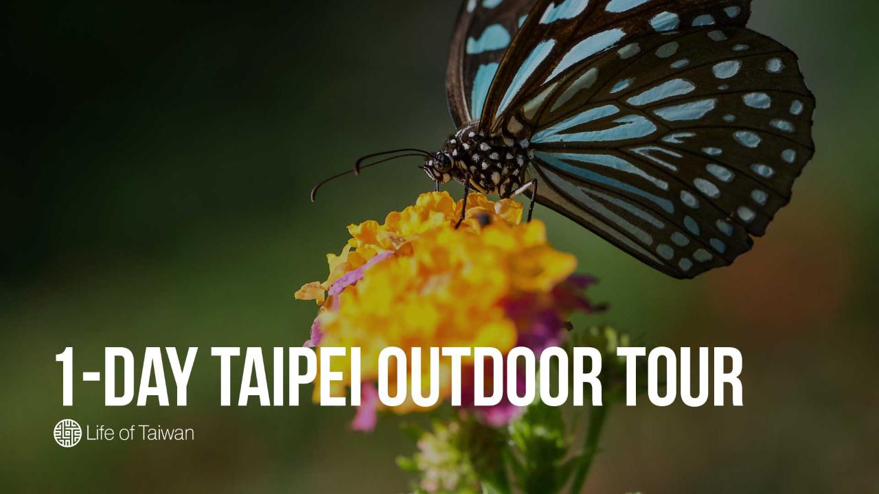 1-Day Private Tour of Taipei's Great Outdoors