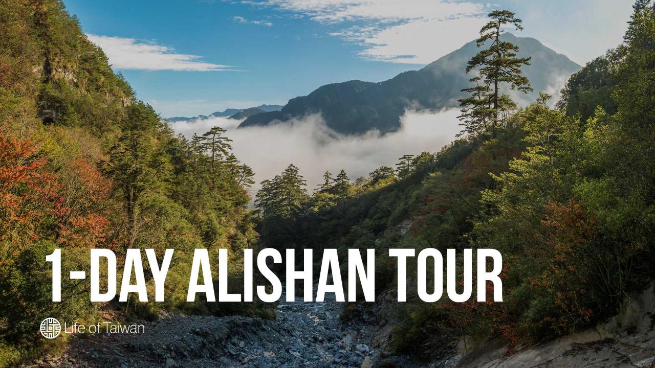 1-Day Private Tour of Alishan National Forest in Taiwan