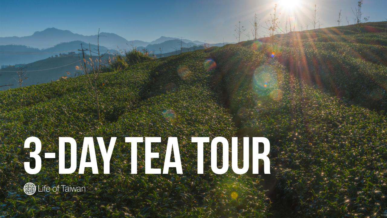 3-Day Private Tea Tour in Taiwan