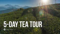 5-Day Private Tea Tour in Taiwan