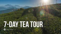 7-Day Private Tea Tour in Taiwan