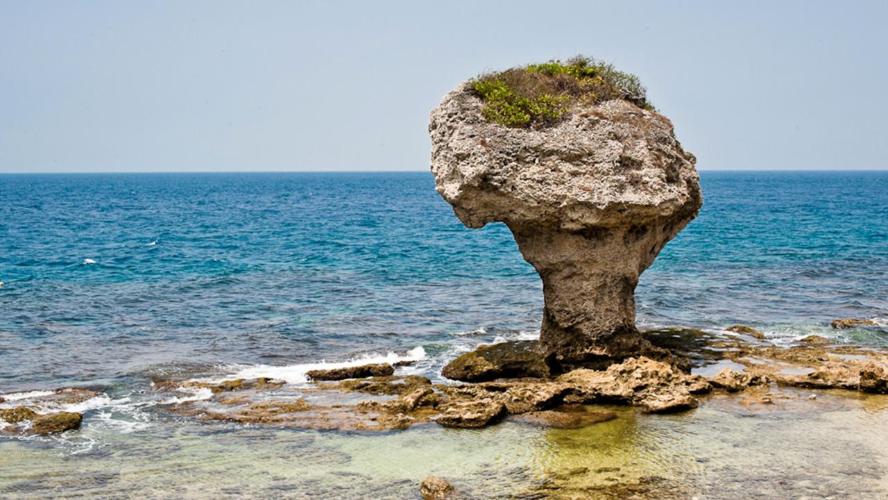12-Day Private Island Tour of Taiwan