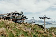 Christchurch Gondola e-Gift Card - Adult