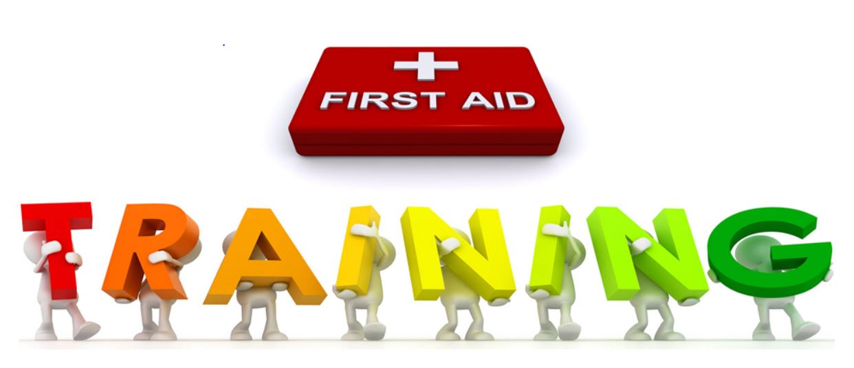 HLTAID003 Provide First Aid