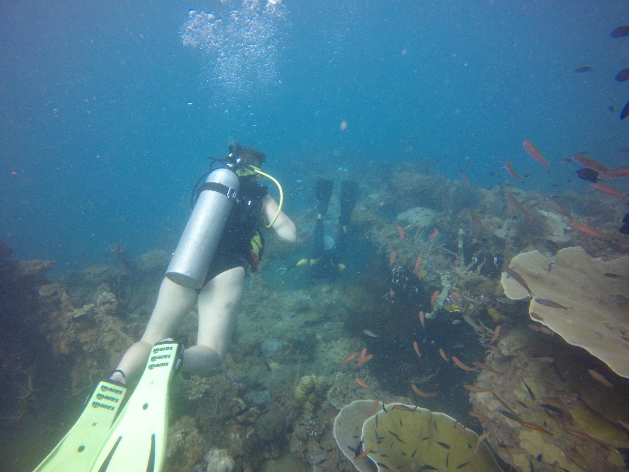 Southern Gold Coast - Cook Island 2 Dive Day Trip - Brisbane Scuba