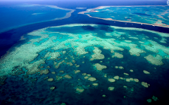 Far North QLD - Great Detached Reef