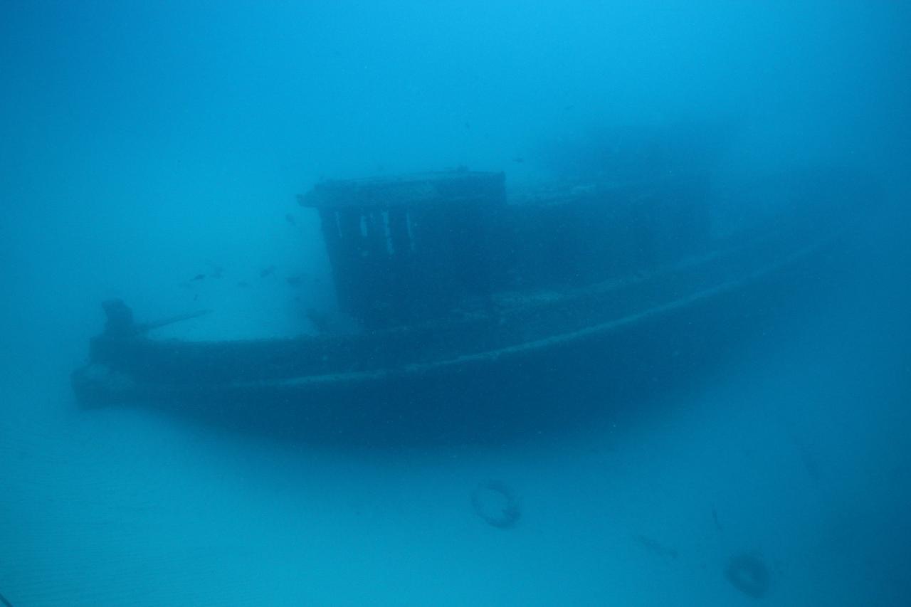 2 Dive Trip - Convinsible Wreck and Cherubs Cave